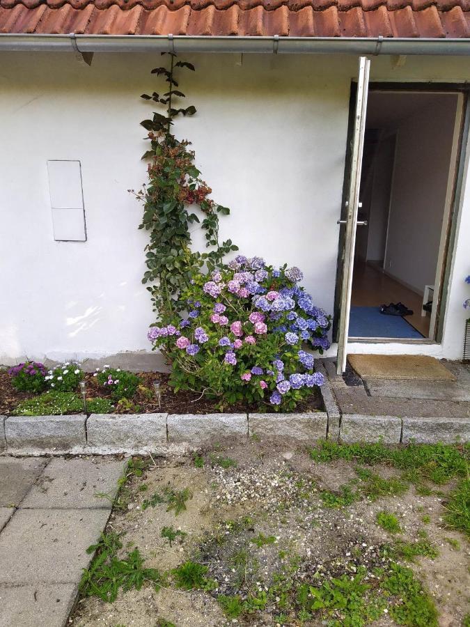 Skovhusets B&B I Gislev Bagian luar foto